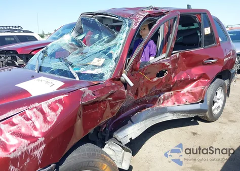 2002 Hyundai Santa Fe Gls/Lx из США, поврежденный, VIN KM8SC13DX2U177456